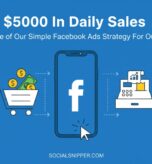 How Our One Simple Design Did $5000 In Daily Sales With One of Our Simple Facebook Ads Strategy For Our Client