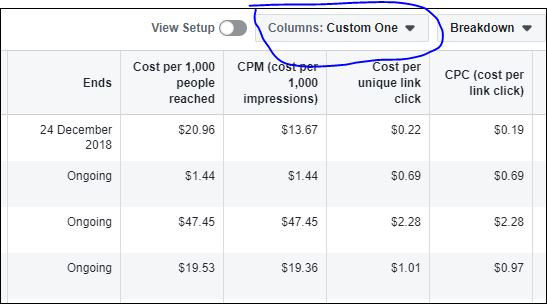 Login to your Facebook Ads manager and Look for “Columns” drop down menu at the right.